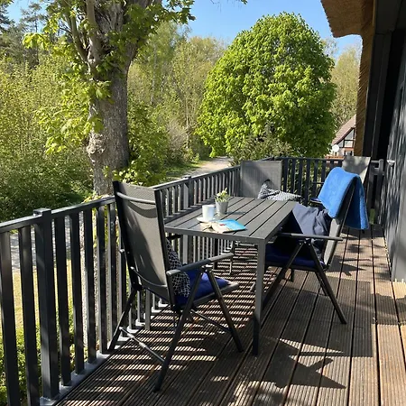 Fw Bonica Reetdachhaus 4 Personen Balkon 2 Sz * Born